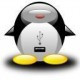 Développeur Python back-end & Administrateur systèmes Linux