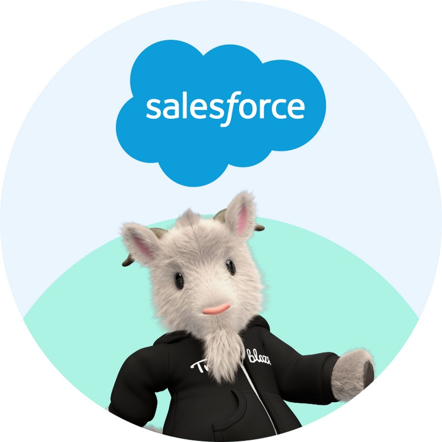 Senior consultant Salesforce Marketing /Sales/Service Cloud